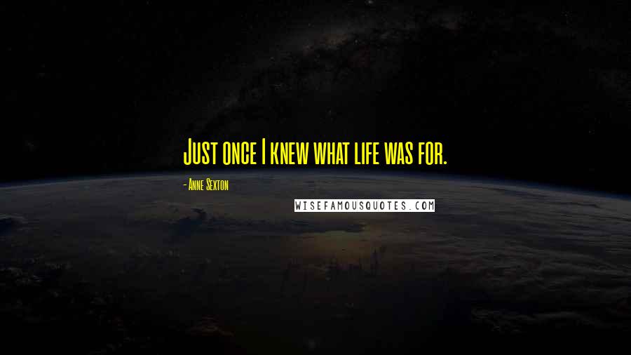 Anne Sexton Quotes: Just once I knew what life was for.