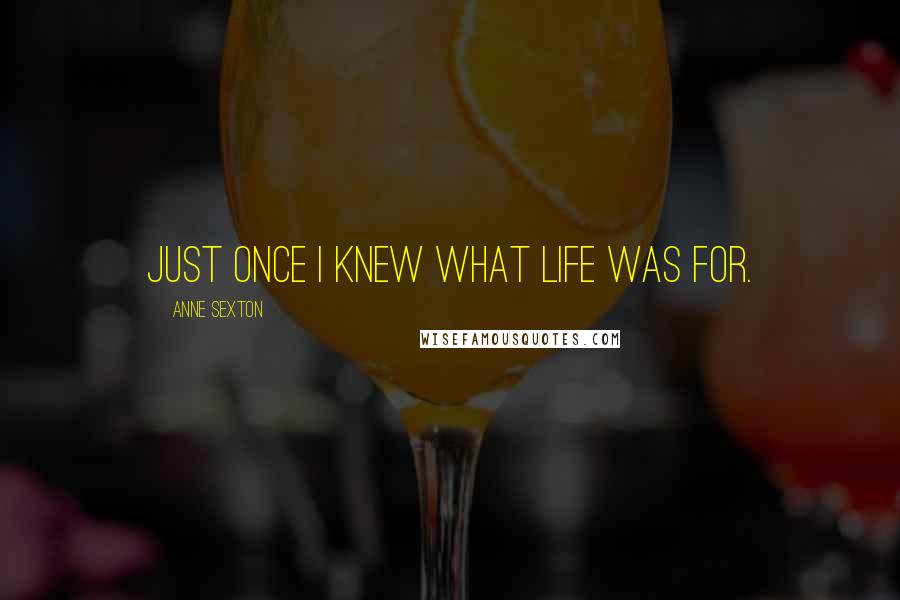 Anne Sexton Quotes: Just once I knew what life was for.