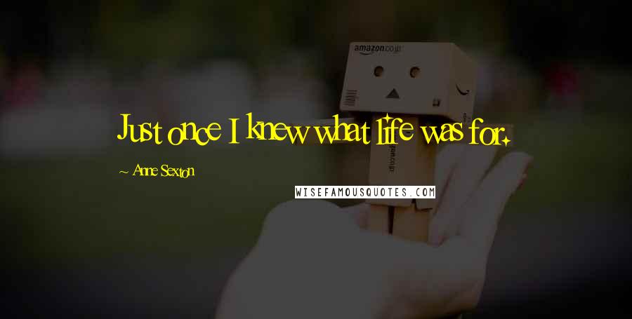 Anne Sexton Quotes: Just once I knew what life was for.