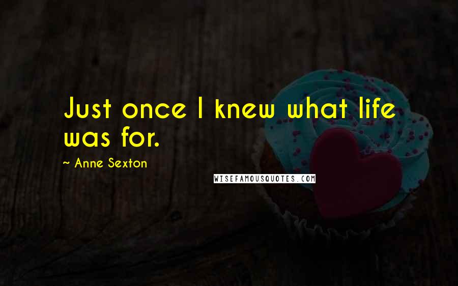 Anne Sexton Quotes: Just once I knew what life was for.