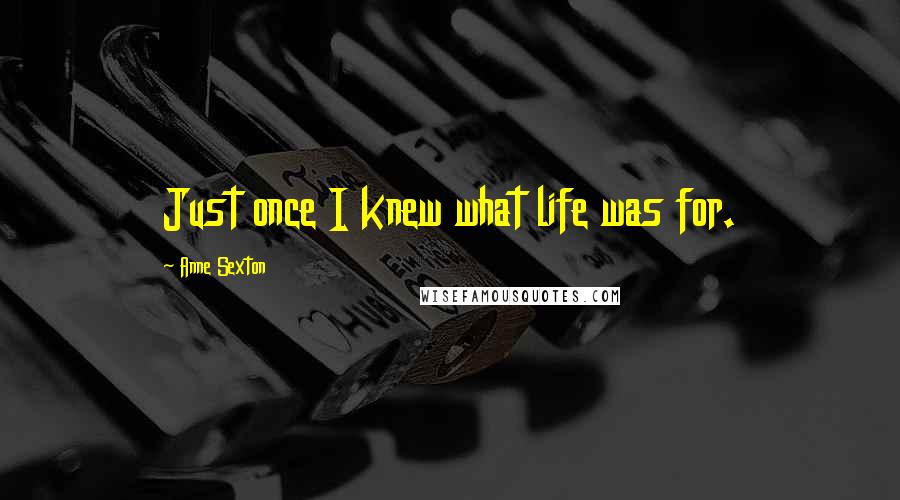 Anne Sexton Quotes: Just once I knew what life was for.