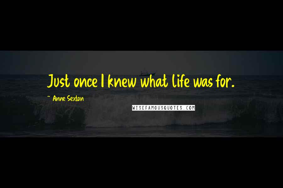 Anne Sexton Quotes: Just once I knew what life was for.