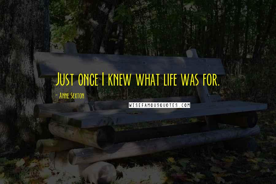 Anne Sexton Quotes: Just once I knew what life was for.