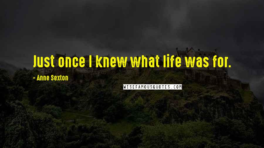 Anne Sexton Quotes: Just once I knew what life was for.