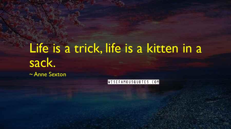 Anne Sexton Quotes: Life is a trick, life is a kitten in a sack.