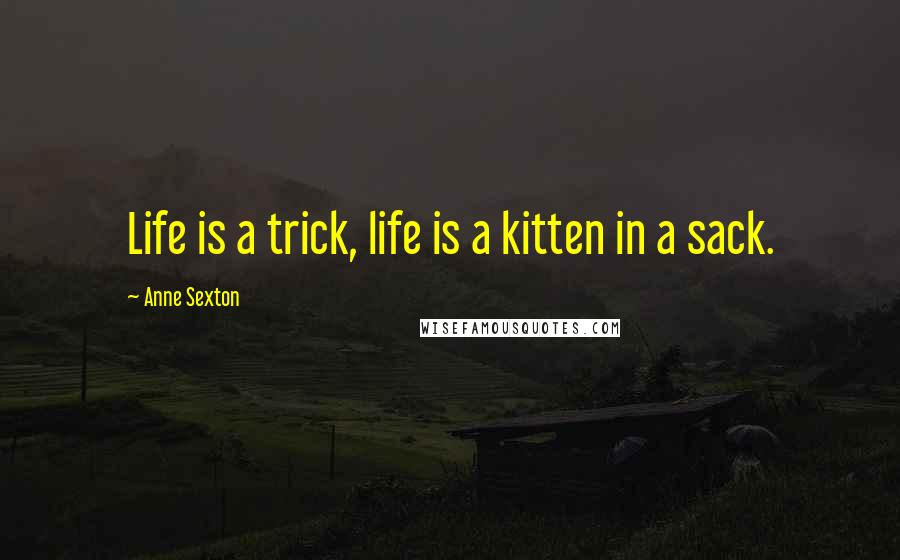Anne Sexton Quotes: Life is a trick, life is a kitten in a sack.