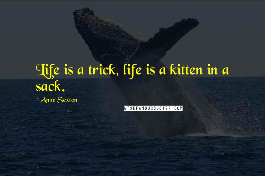 Anne Sexton Quotes: Life is a trick, life is a kitten in a sack.