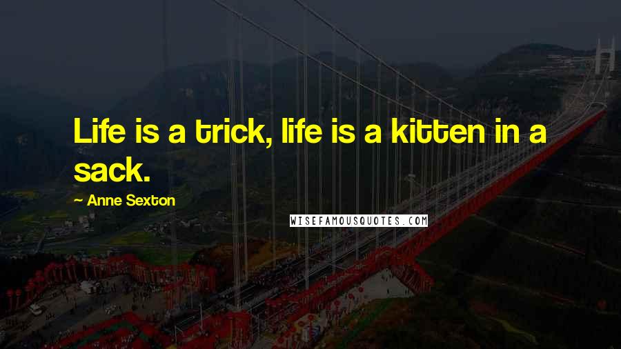 Anne Sexton Quotes: Life is a trick, life is a kitten in a sack.