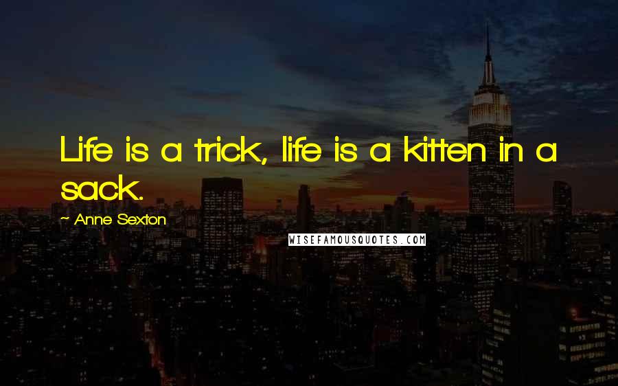 Anne Sexton Quotes: Life is a trick, life is a kitten in a sack.