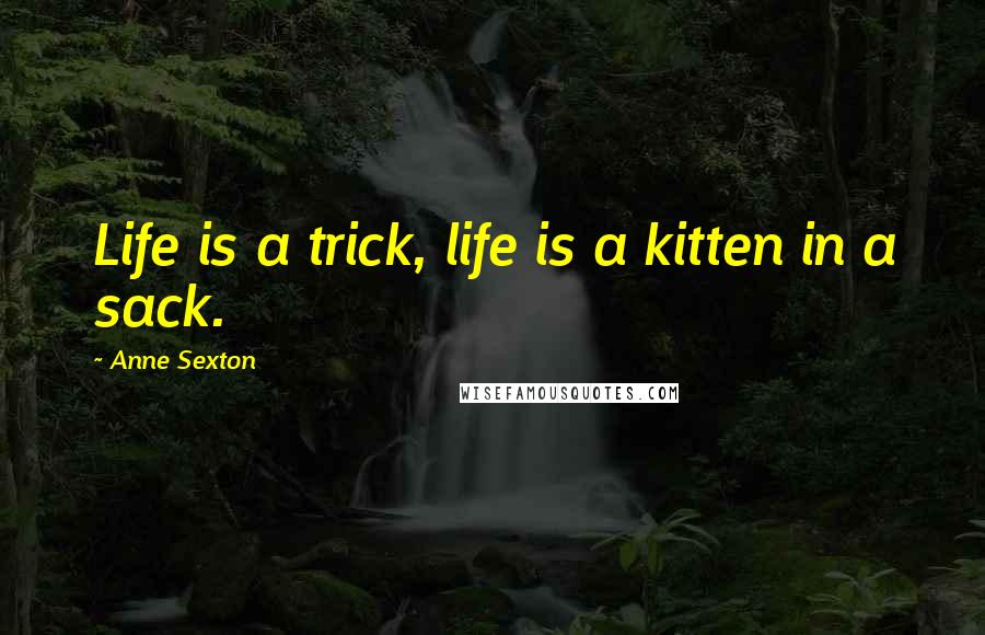 Anne Sexton Quotes: Life is a trick, life is a kitten in a sack.