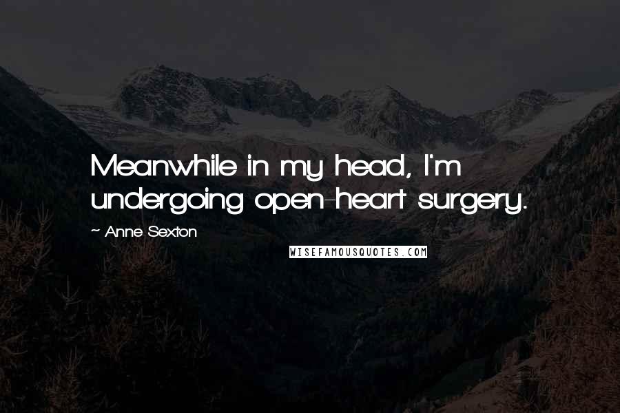 Anne Sexton Quotes: Meanwhile in my head, I'm undergoing open-heart surgery.