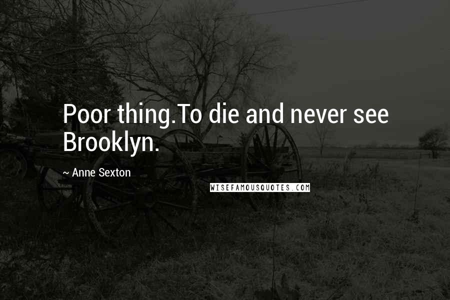 Anne Sexton Quotes: Poor thing.To die and never see Brooklyn.