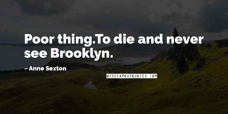 Anne Sexton Quotes: Poor thing.To die and never see Brooklyn.