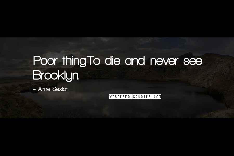 Anne Sexton Quotes: Poor thing.To die and never see Brooklyn.