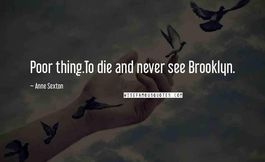 Anne Sexton Quotes: Poor thing.To die and never see Brooklyn.