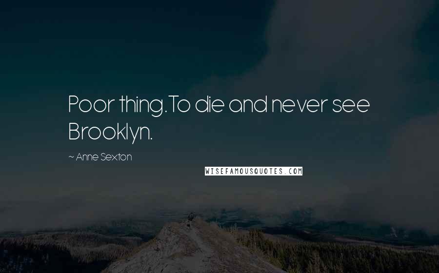 Anne Sexton Quotes: Poor thing.To die and never see Brooklyn.