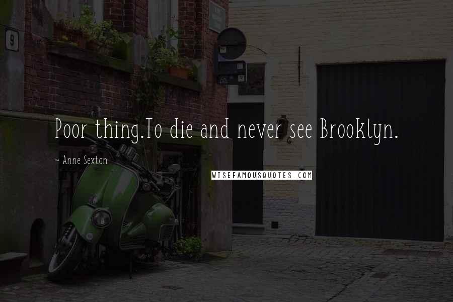 Anne Sexton Quotes: Poor thing.To die and never see Brooklyn.