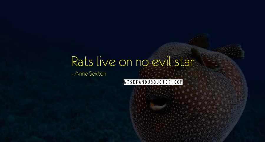 Anne Sexton Quotes: Rats live on no evil star