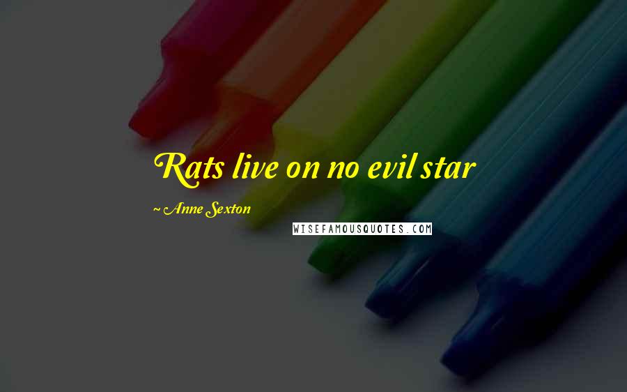 Anne Sexton Quotes: Rats live on no evil star