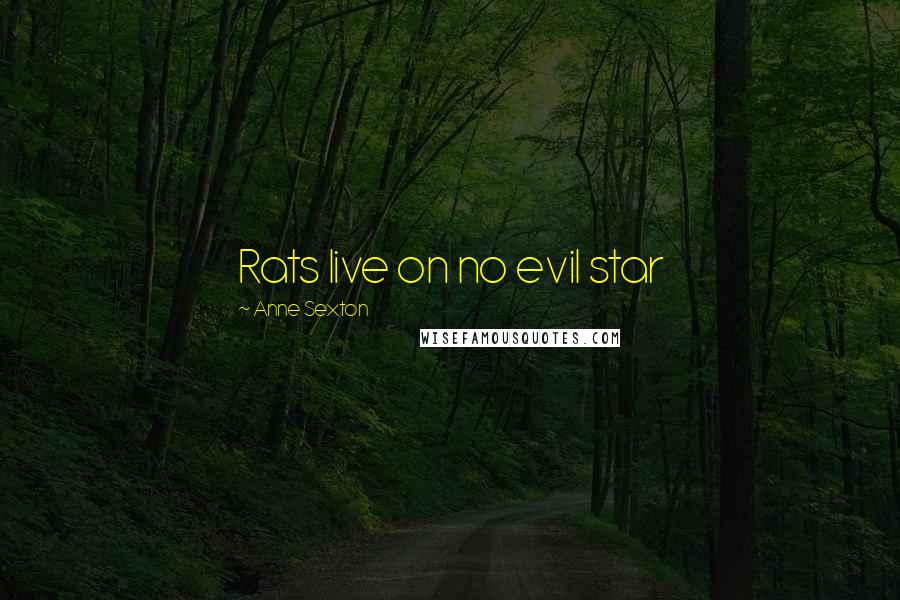 Anne Sexton Quotes: Rats live on no evil star