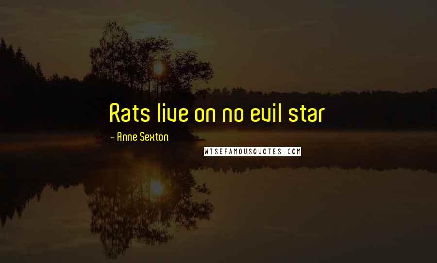 Anne Sexton Quotes: Rats live on no evil star