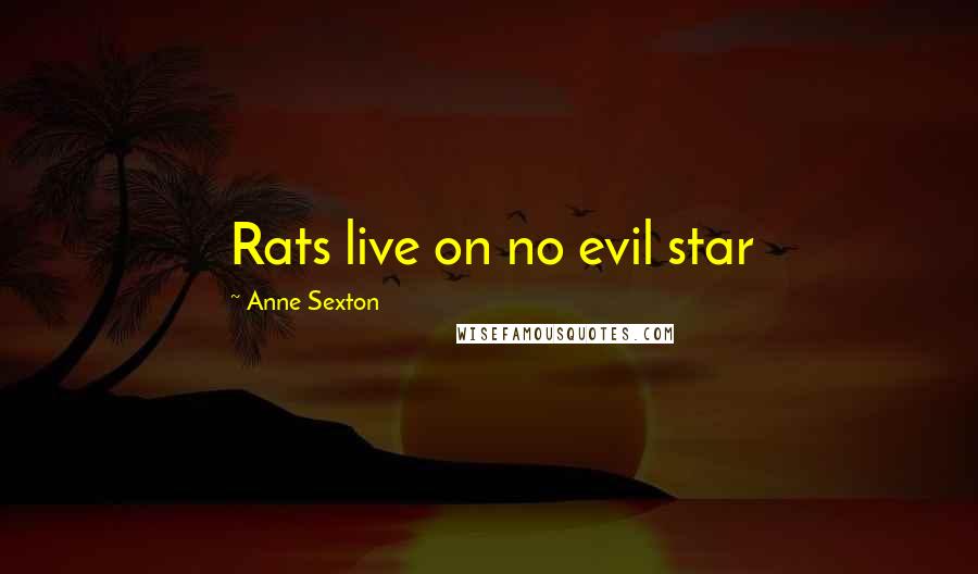 Anne Sexton Quotes: Rats live on no evil star