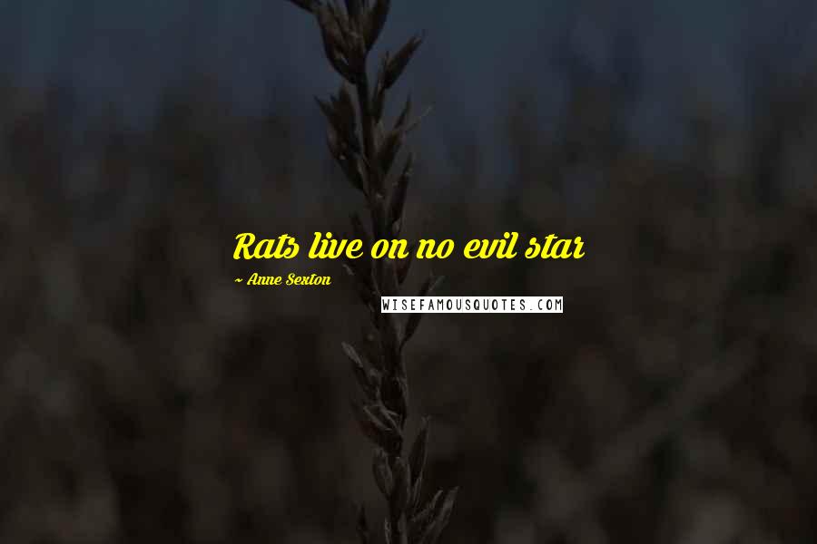 Anne Sexton Quotes: Rats live on no evil star