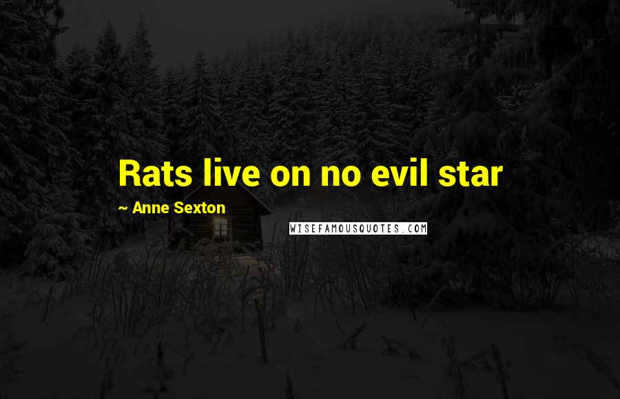 Anne Sexton Quotes: Rats live on no evil star