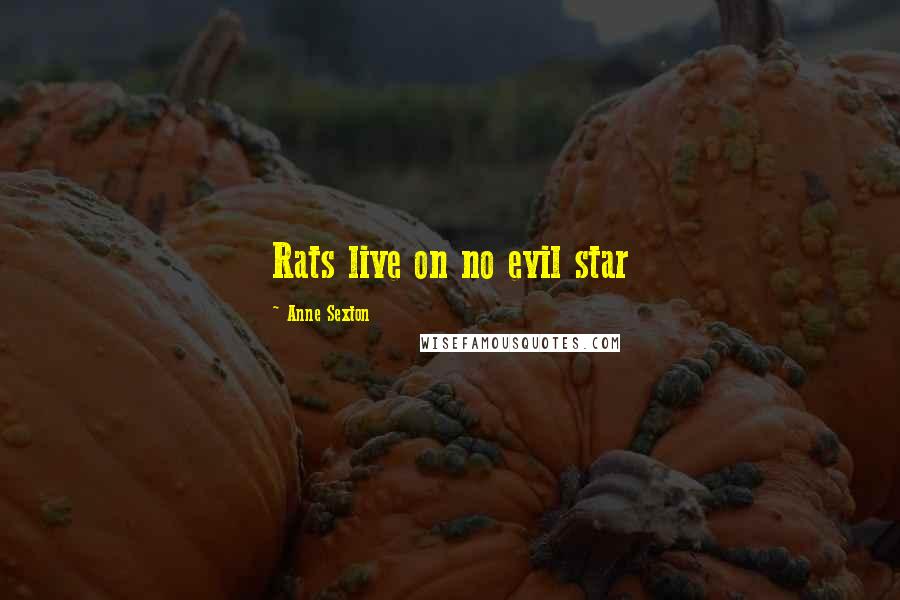 Anne Sexton Quotes: Rats live on no evil star