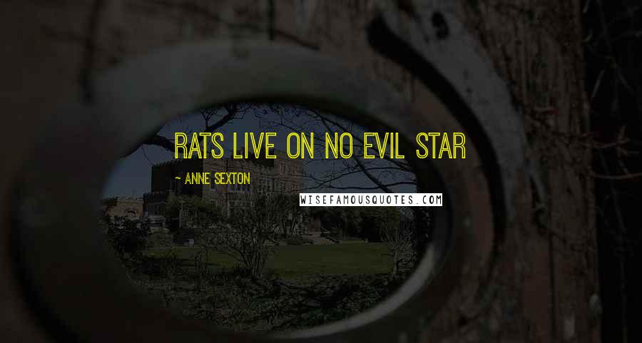 Anne Sexton Quotes: Rats live on no evil star