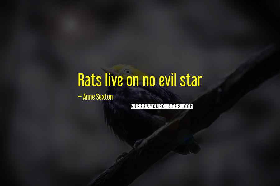 Anne Sexton Quotes: Rats live on no evil star