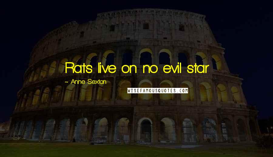 Anne Sexton Quotes: Rats live on no evil star