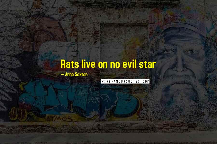 Anne Sexton Quotes: Rats live on no evil star