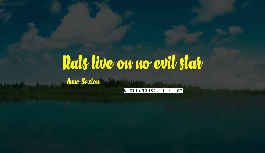 Anne Sexton Quotes: Rats live on no evil star