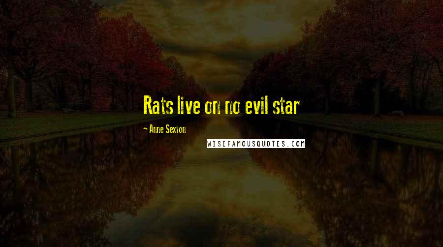 Anne Sexton Quotes: Rats live on no evil star