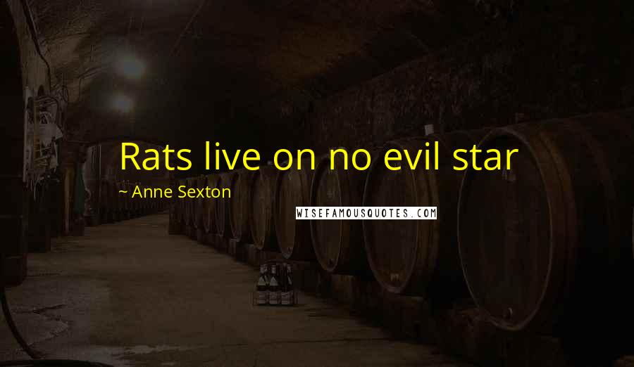 Anne Sexton Quotes: Rats live on no evil star