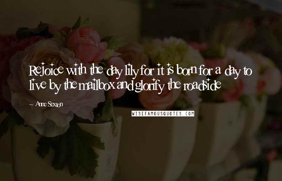 Anne Sexton Quotes: Rejoice with the day lily for it is born for a day to live by the mailbox and glorify the roadside