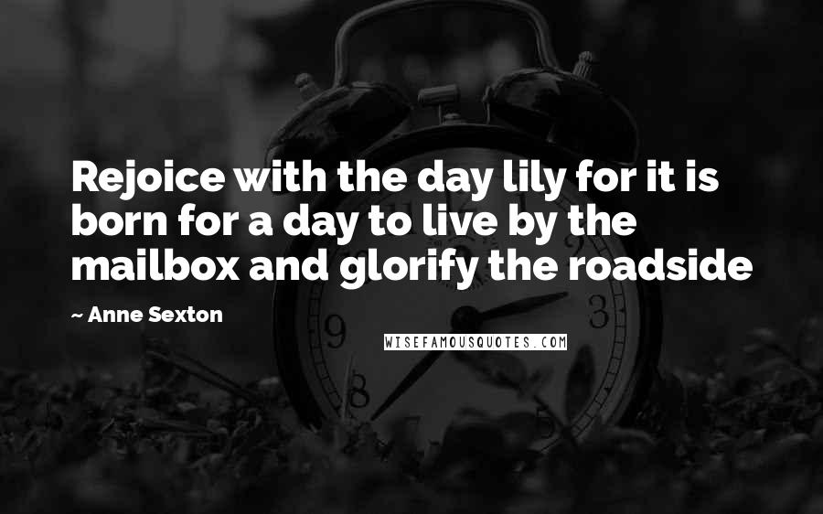 Anne Sexton Quotes: Rejoice with the day lily for it is born for a day to live by the mailbox and glorify the roadside