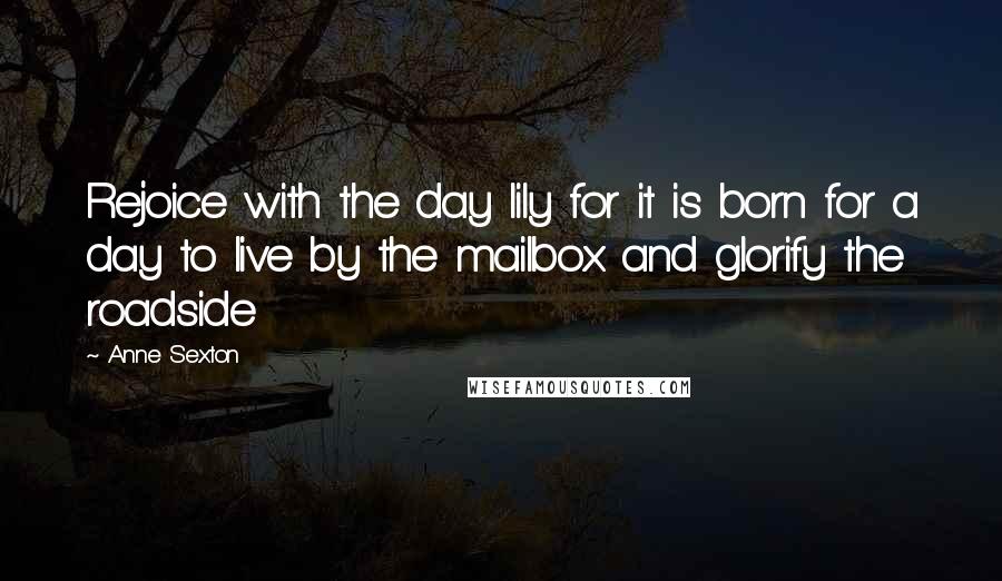 Anne Sexton Quotes: Rejoice with the day lily for it is born for a day to live by the mailbox and glorify the roadside