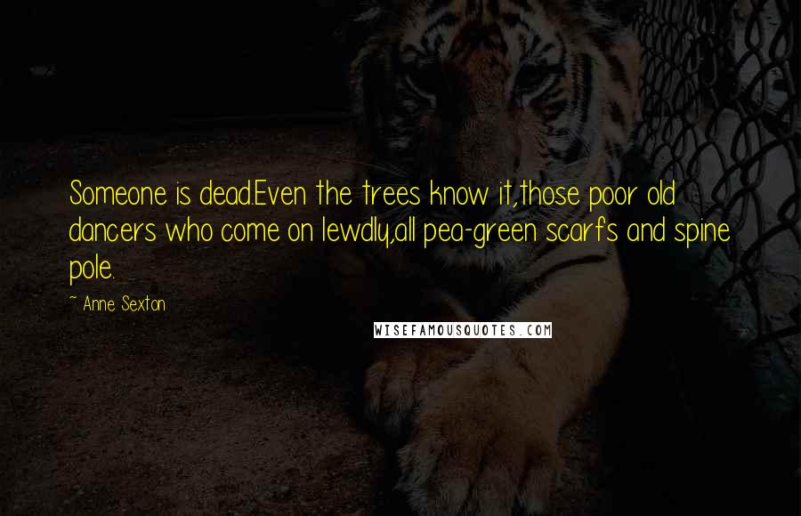 Anne Sexton Quotes: Someone is dead.Even the trees know it,those poor old dancers who come on lewdly,all pea-green scarfs and spine pole.