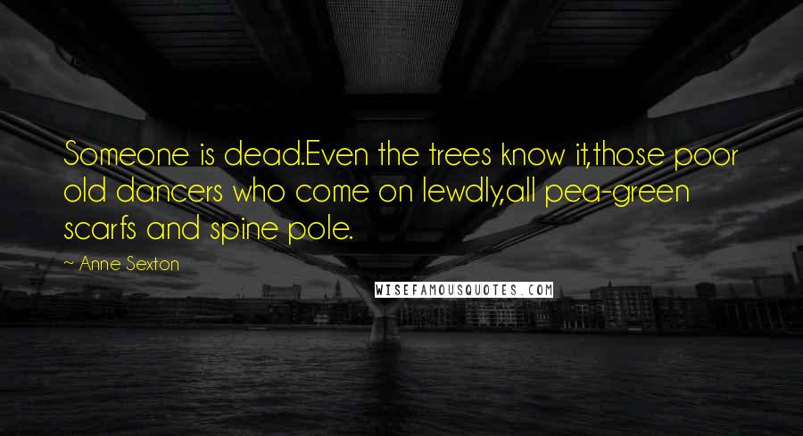 Anne Sexton Quotes: Someone is dead.Even the trees know it,those poor old dancers who come on lewdly,all pea-green scarfs and spine pole.