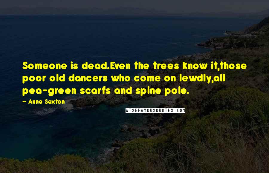 Anne Sexton Quotes: Someone is dead.Even the trees know it,those poor old dancers who come on lewdly,all pea-green scarfs and spine pole.