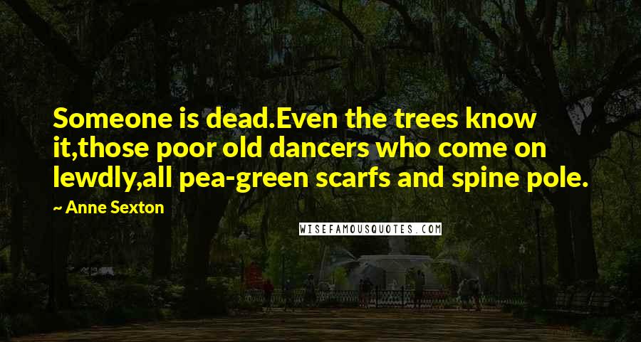 Anne Sexton Quotes: Someone is dead.Even the trees know it,those poor old dancers who come on lewdly,all pea-green scarfs and spine pole.