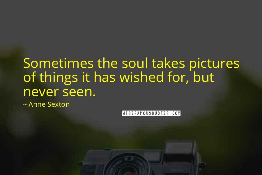 Anne Sexton Quotes: Sometimes the soul takes pictures of things it has wished for, but never seen.