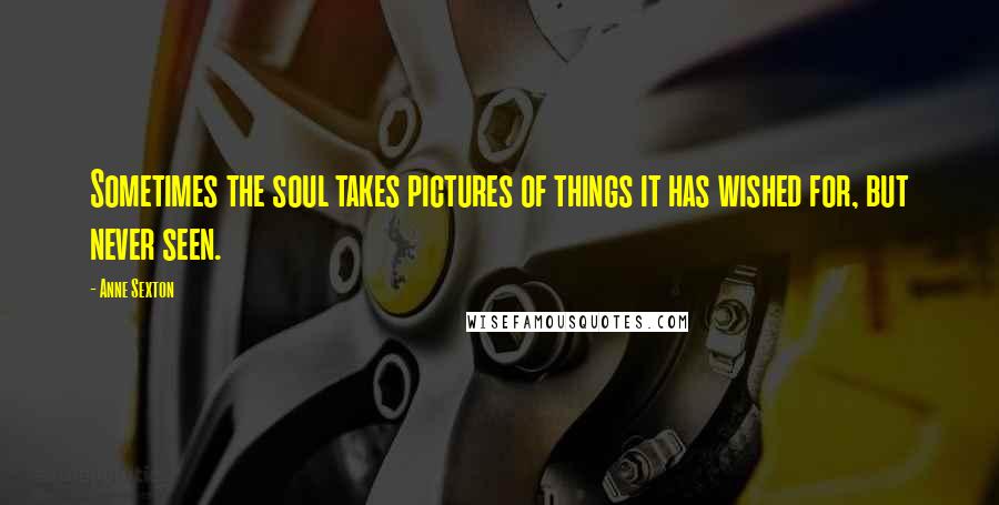 Anne Sexton Quotes: Sometimes the soul takes pictures of things it has wished for, but never seen.