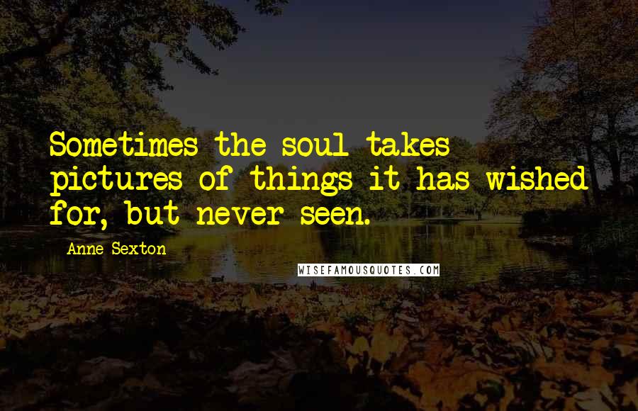 Anne Sexton Quotes: Sometimes the soul takes pictures of things it has wished for, but never seen.