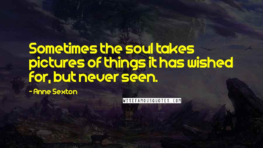 Anne Sexton Quotes: Sometimes the soul takes pictures of things it has wished for, but never seen.