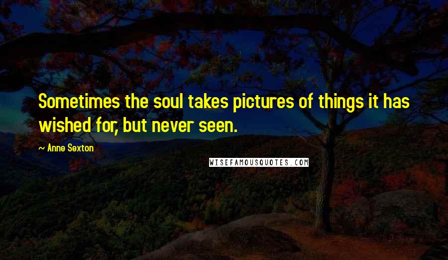 Anne Sexton Quotes: Sometimes the soul takes pictures of things it has wished for, but never seen.