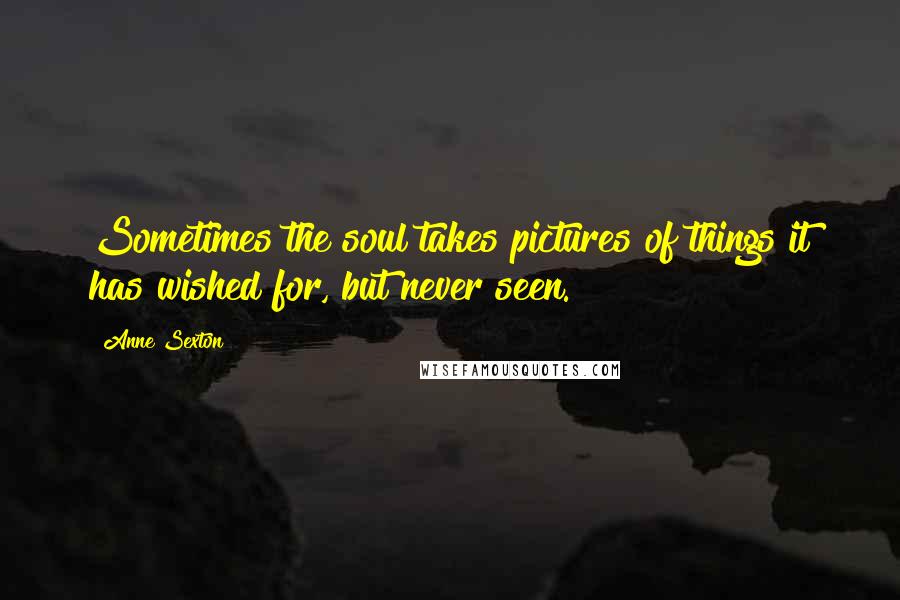 Anne Sexton Quotes: Sometimes the soul takes pictures of things it has wished for, but never seen.