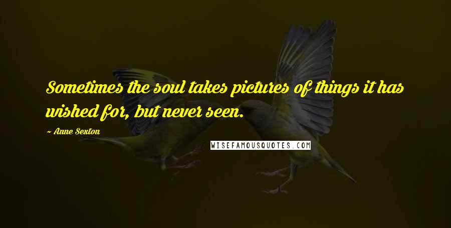 Anne Sexton Quotes: Sometimes the soul takes pictures of things it has wished for, but never seen.